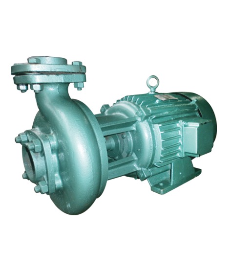 1 hp 2880 rpm Monoblock Pumps