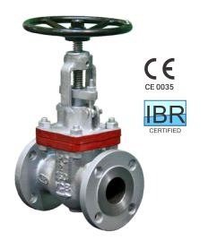 IPC CS Globe Valves 100 mm