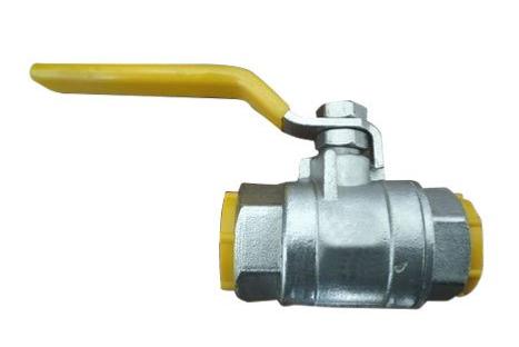 Manual SS Ball Valves 0.25 inch PN 10
