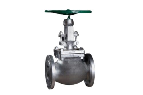 HYDINT CS Globe Valves 50 mm