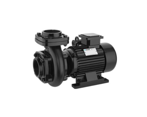 Silver SDM-25 0.15 hp 2800 rpm Monoblock Pumps