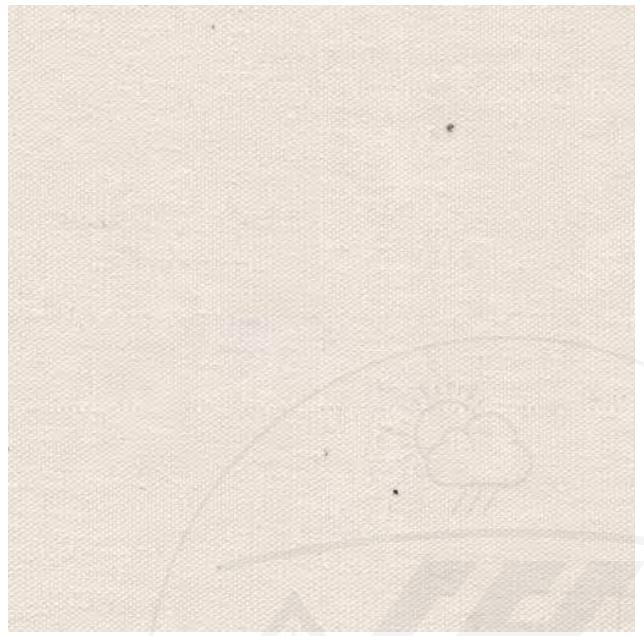 16273-2128_image_0.jpg Chander Sales Polyester Cotton Canvas Cloth upto 50 m upto 2 m Off White