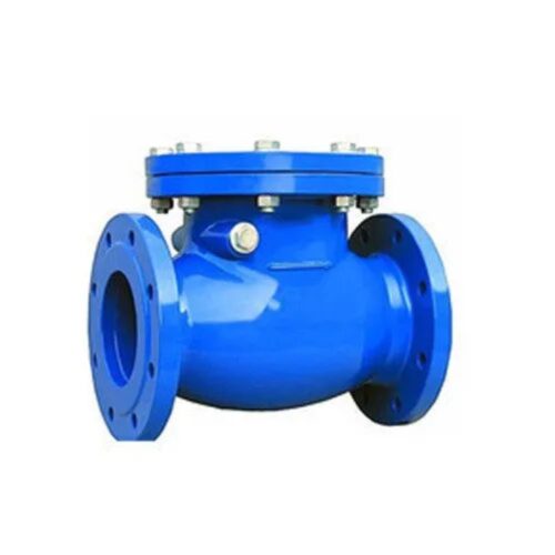 Manual CI Check Valves 65 mm Flanged