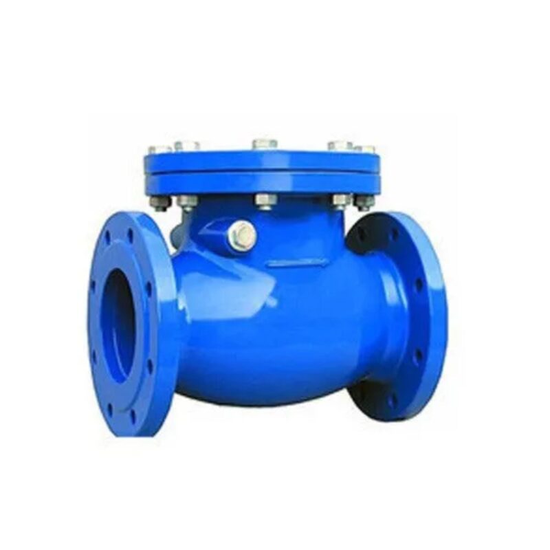 16292-37_image_0.jpg Manual CI Check Valves 65 mm Flanged