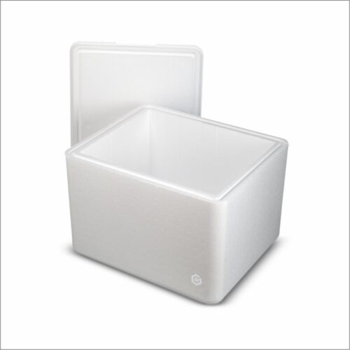 BEARDSELL Normal EPS Thermocol Ice Box 27.7 x 17.5 x 15 inch 40 L