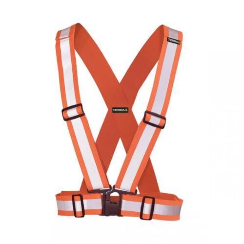 Polyester Thread Safety Belts Standard