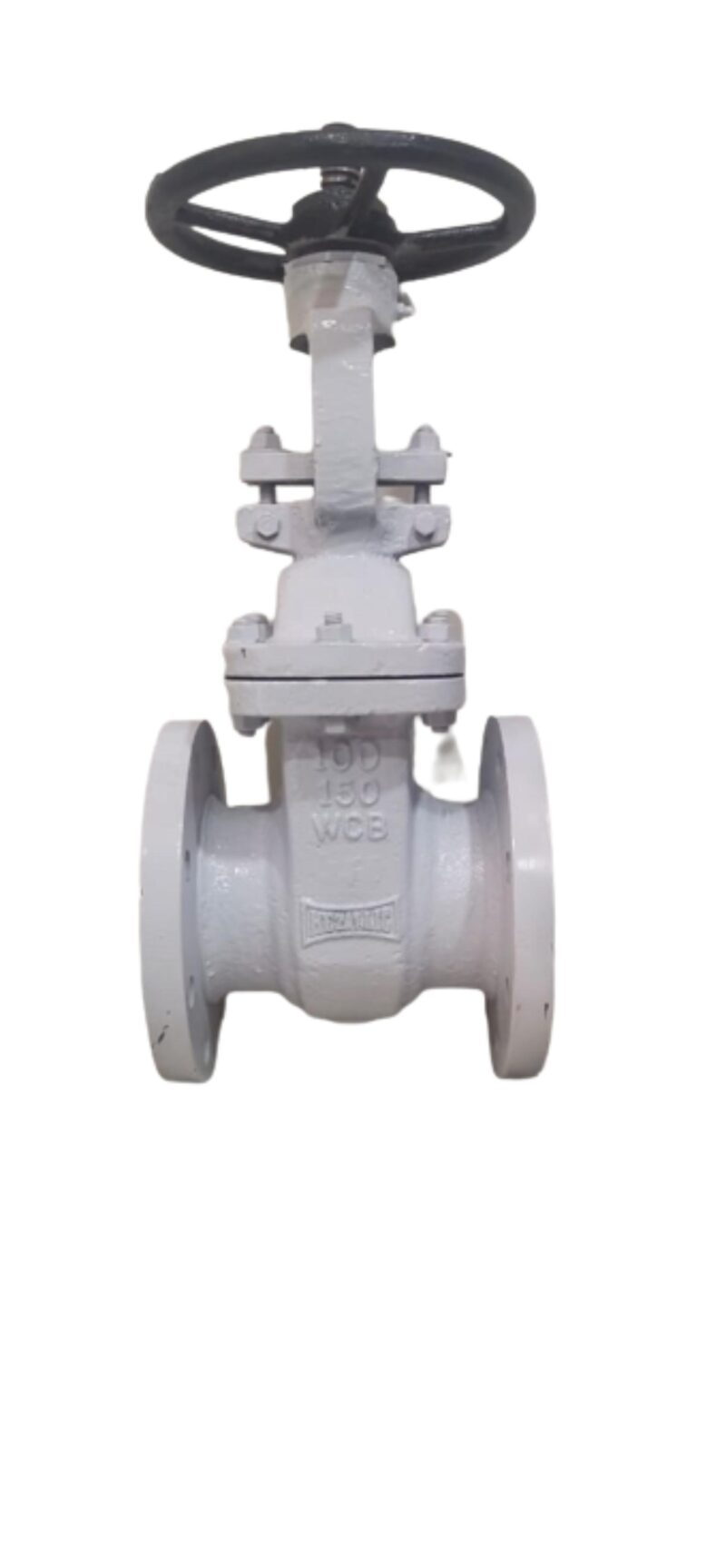 Metallic Manual CS Gate Valves 40 - 300 mm 500 psi
