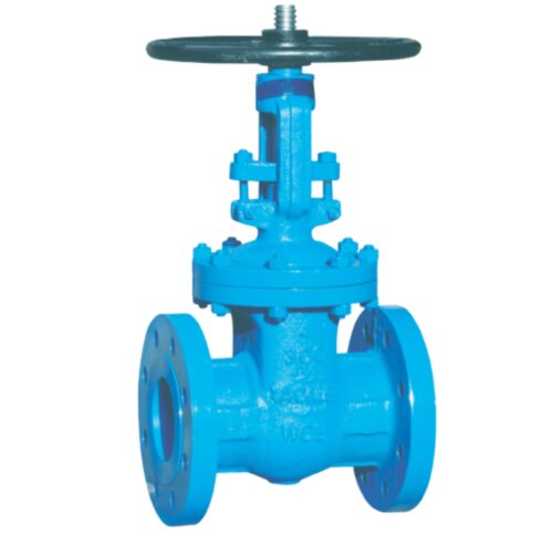 Global Manual CS Gate Valves 100 mm 320 - 430 psi