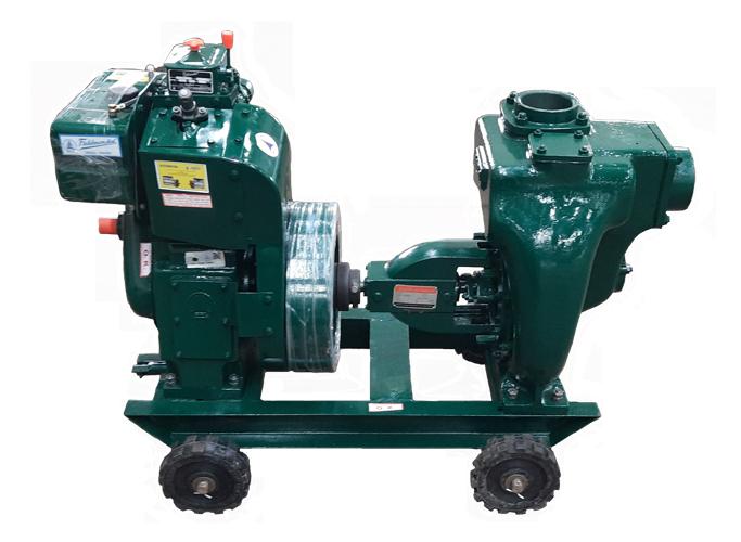 16530-10039_image_0.jpg Fieldmarshal 6.5 hp Diesel Pumps 12 - 20 m
