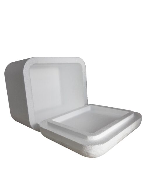 River Normal EPS Thermocol Ice Box 260 x 230 x 200 mm OD 3 L