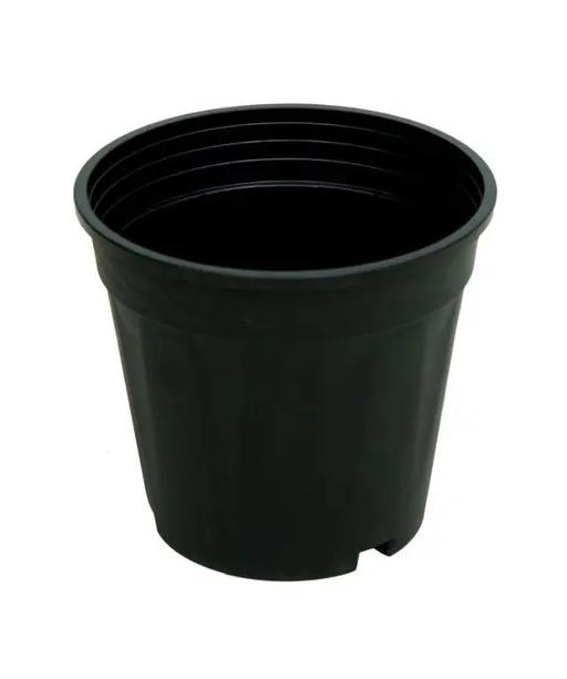 A One Green Plastic Nursery Pot Planter Black