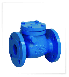 15703-63_image_0.gif AGS SS Check Valves 15 mm to 400 mm