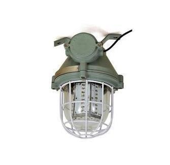 15783-7_image_0.jpg Elpro Cast Aluminium Suspended Mounted 30 W White Flameproof LED Luminaries