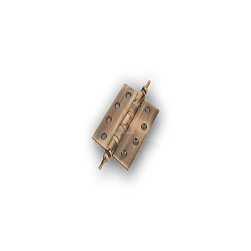 Apollo Brass Door Hinges