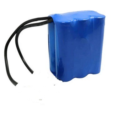Jascon 2.5 Ah 24 V Lithium Ion Batteries