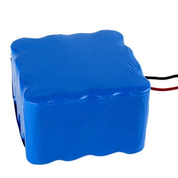 Jascon 12.5 Ah 12 V Lithium Ion Batteries