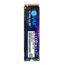EVM 1 TB Internal SSD Hard Drive SSD M.2 NVME Black