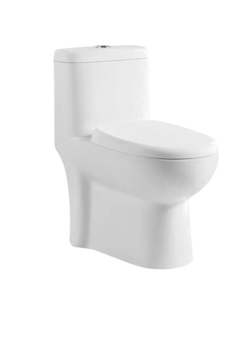 16023-164_image_0.jpg Parryware EWC with Seat Cover and Flush Duke Single Piece S-305 Floor
