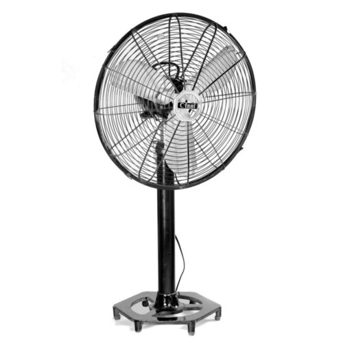 Cinni Mastani 400 mm Black Pedestal Fan
