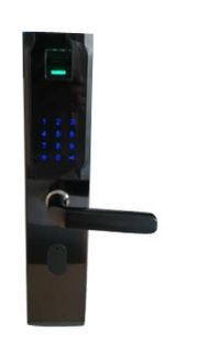 Stainless Steel Electronic Door Locks