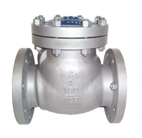 16136-15_image_0.jpg AEGIS SS Check Valves 50 mm