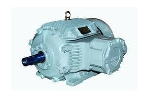 Single Phase 2.5 hp AC Motors