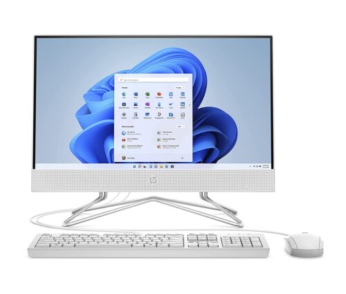 HP Windows 11 AMD 12 1000 GB 21.5 in Desktop Computer