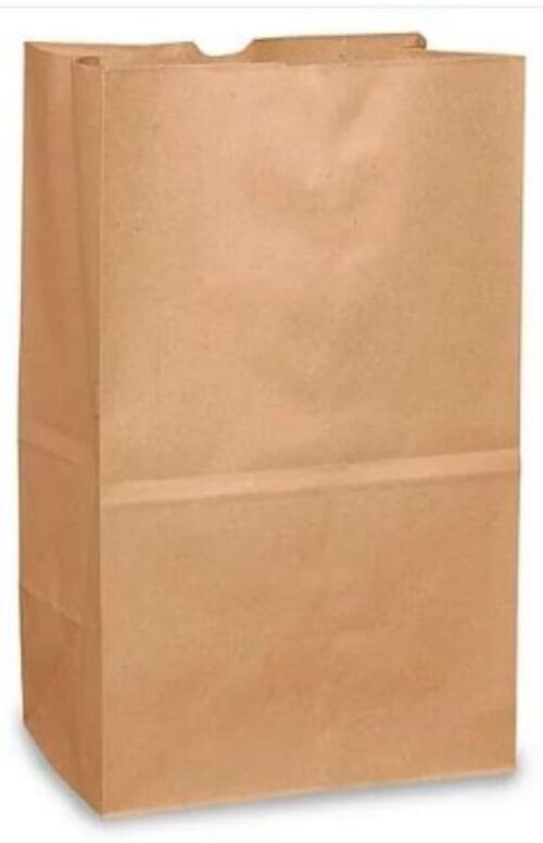 Plain Paper Bag 1 kg Brown