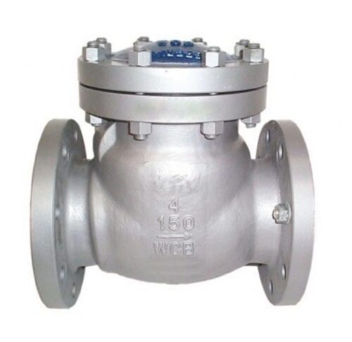 16290-1212_image_0.jpg SS Check Valves 25 mm