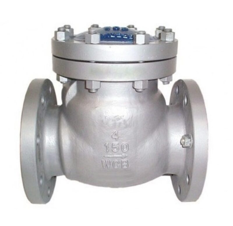 16290-1212_image_0.jpg SS Check Valves 25 mm