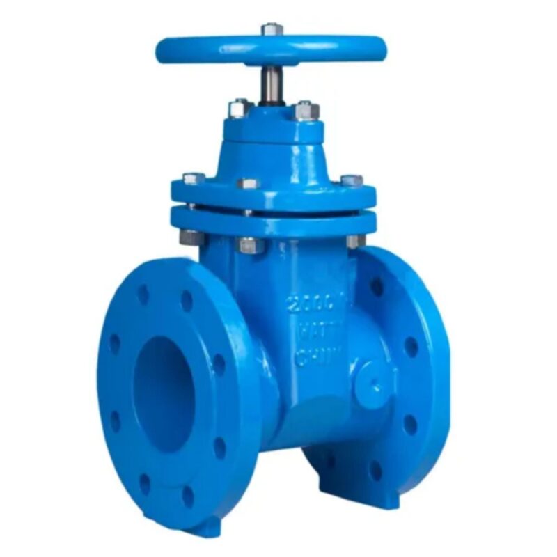 Universal Motorized DI Gate Valves DN 25 mm
