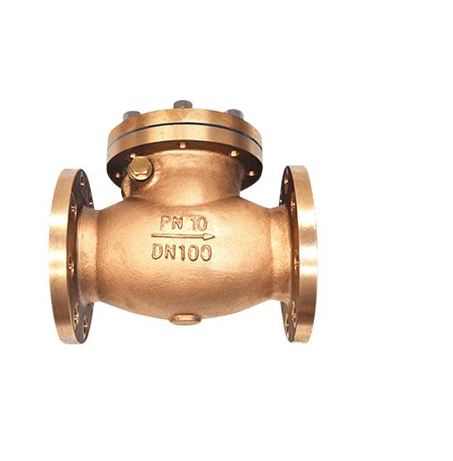 Delval Bronze Check Valves 15 mm
