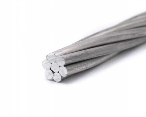 Voltamp Powertech 100 sqmm Gnat AAC Conductor