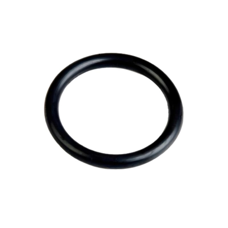 Alpha Elastomer 100 mm Viton O Rings
