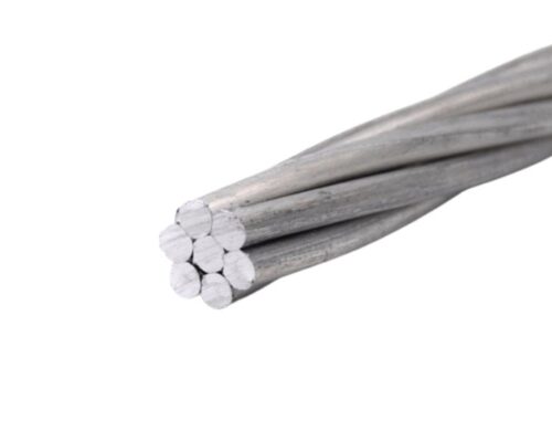 NCPL 100 sqmm Gnat AAC Conductor