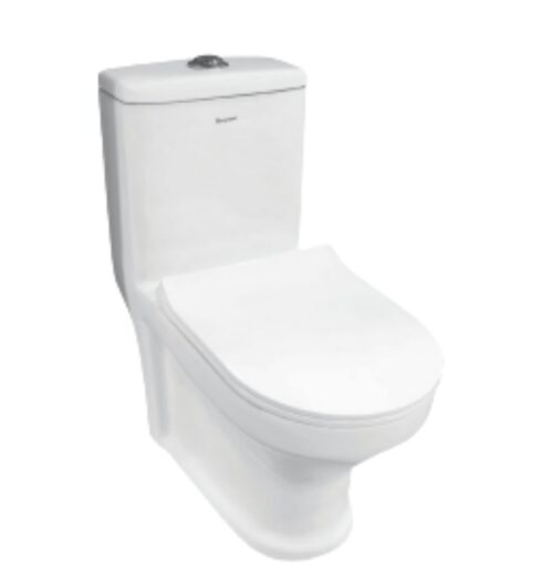 Parryware EWC with Seat Cover and Flush Activa Floor