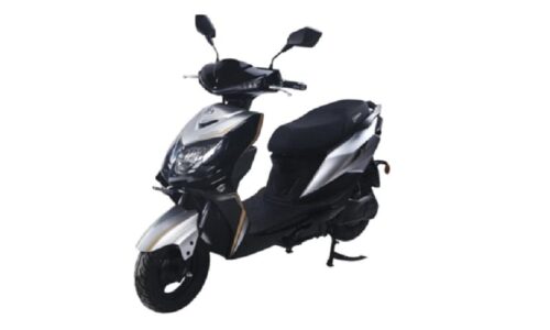 DM Roadking 90 - 120 km 1.8 kWh 5 hr Electric Bike