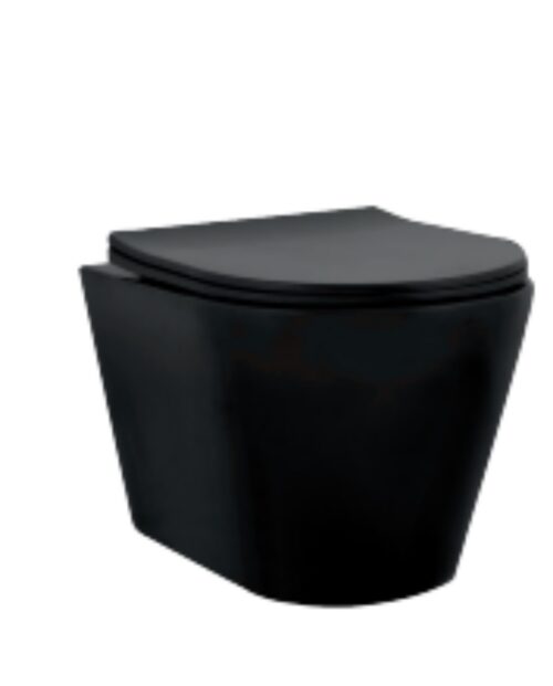 16788-3575_image_0.jpg EWC with Seat Cover and Flush Wall Hang