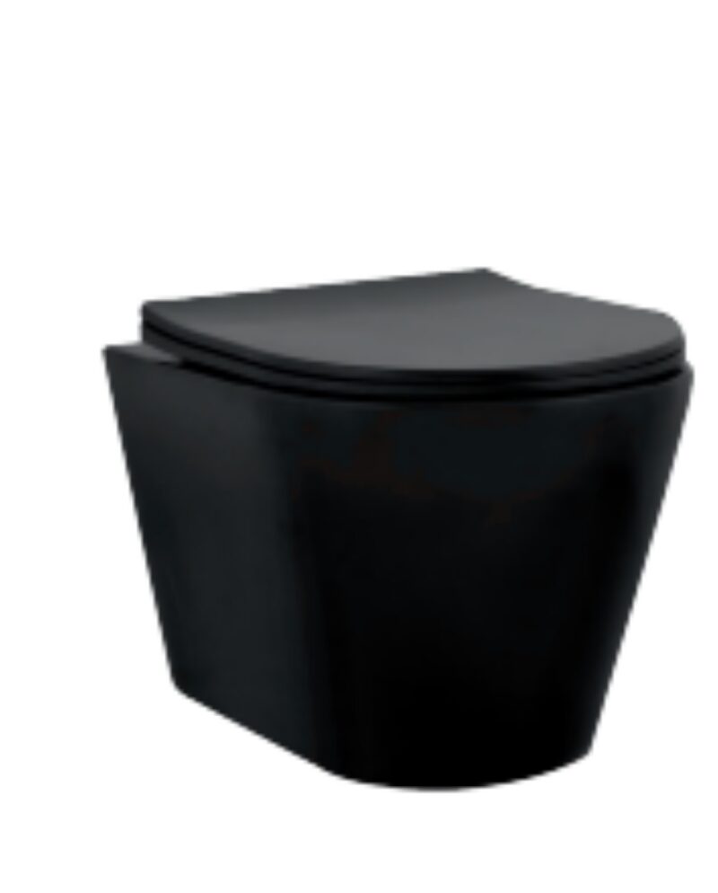 EWC with Seat Cover and Flush Wall Hang
