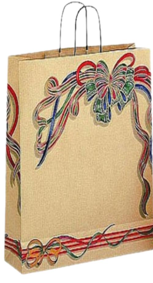 TRIENITY Printed Paper Bag 2 kg Multicolour