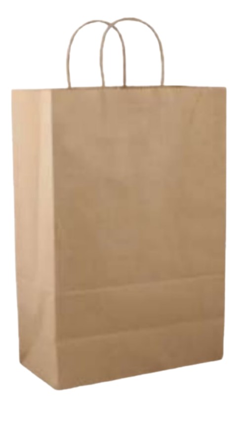 Plain Paper Bag 1 kg Brown