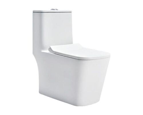 16926-11287_image_0.jpg CERA EWC with Seat Cover and Flush CHARM 6D Floor