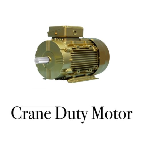 CG CRANE S4 1000 rpm Three Phase 0.5 hp Six Pole Foot cum Flange Mounted AC Motors