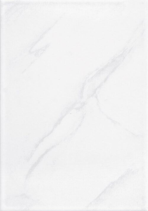 17064-11296_image_0.jpg Orientbell Wall (Small Size) 200 x 300 mm Elite Grey Glossy Ceramic Tile