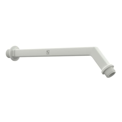 R.N. 1/2 Inch BSP Wall Mount Shower Arm RNARM01A01_12"