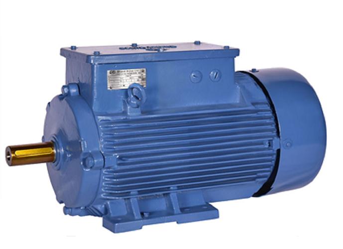 Bharat Bijlee BBL2 1440 rpm Three Phase 2 hp Double Pole Foot Mounted AC Motors