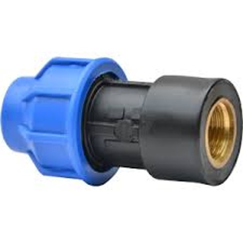 Jain 20 mm Polyethylene Adaptors Female Threaded