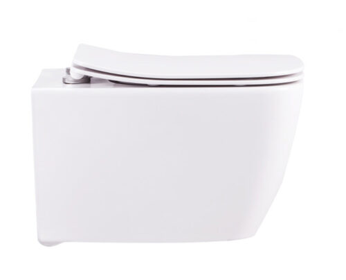 CERA EWC with Seat Cover and Flush CARLTON DUROPLAST SEAT COVER Wall Hung