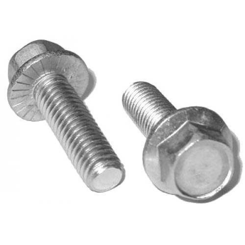 17256-9222_image_0.jpg JSPL 10 mm Hexagon Flange Bolt SS 304 DIN 6921