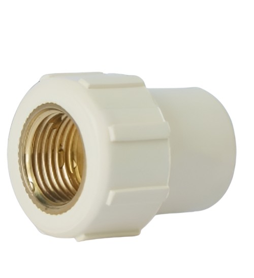 17280-2293_image_0.jpg Wasper Brass Reducer FTAs 20 mm
